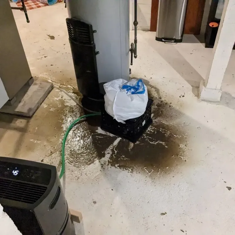 Sewage Backup Cleanup Service in Westville, NJ